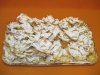 Crostoli fritti vassoio da 2 Kg